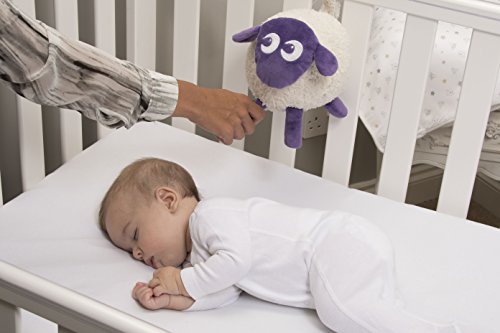 sweet dreamers sheep