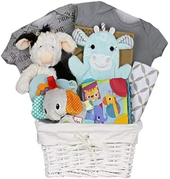 amazon new baby gift basket