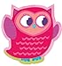 Peaceable Kingdom Pop-Out Owl Bookmark Valentine Cards