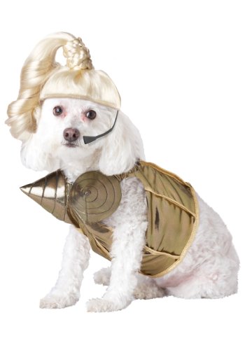 Pup-A-Razzi Pop Queen Dog Costume, Gold