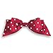 American Girl Kit - Kit's Holiday Outfit