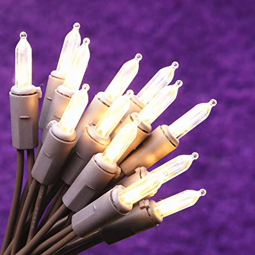 Warm White Led Christmas Lights Brown Wire 