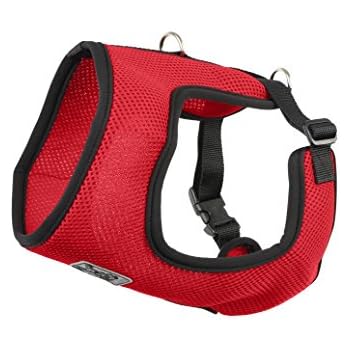 Amazon.com : RC Pet Products Cirque Soft Walking Dog ...