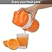OKAYMART Citrus Juicer Orange Squeezer, Manual Juicer,Hand Juicer,Orange Juicer with Strainer and Container, for Lemon,Orange,Lime,Citrus (Orange)