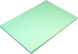 Hawksbill Pale Green Paper A4 80 GSM 100 Sheet Pack Copier Printer