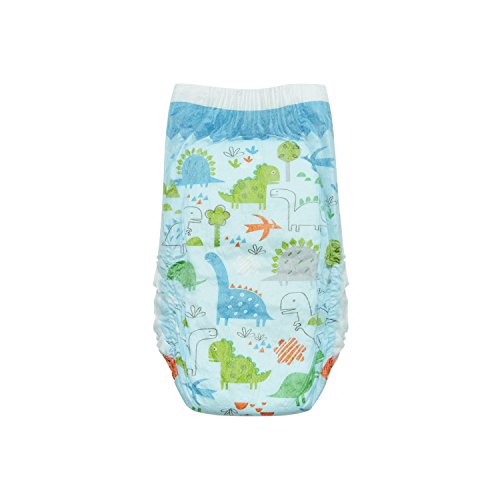 The Honest Company Disposable Training Pants, Dinosaurs, 2T/3T, 26 ct