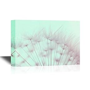 White Dandelion Premium
