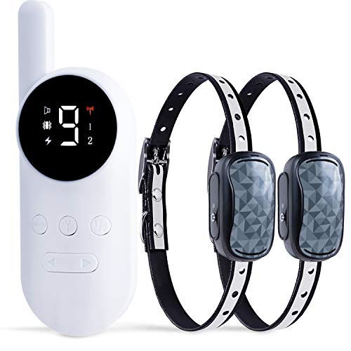 GoodBoy Small Size Remote Collar for Dogs with Beep Vibration and Shock Modes for Pet Behavior Training – Waterproof & 1000 Feet Range – Suitable for Small, Medium or Large Dogs Over 8 Lbs (2 Collars)
