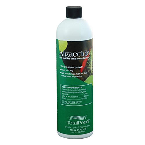 TotalPond 16 oz. Algaecide for Ponds and Fountains
