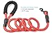 BAAPET 2 Packs 5/6 FT Dog Leash with Comfortable Padded Handle and Highly Reflective Threads Dog Leashes for Small Medium and Large Dogs (5FT-1/2'', Black+Red)