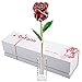 DEFAITH 24k Gold Dipped Rose with Crystal Stand (Red Original)