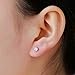 Sohapy Stainless Steel Round Clear Cubic Zirconia Diamond Rhinestone Stud Earrings, Roseate Jewelry, 6 Pairs (Color Silver)