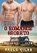 Livro O Romance Secreto (Conexão Secreta Livro 1)