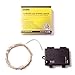 RTGS 30 LEDs String Lights Batteries Operated on 10 Feet Long Silver Color Wire, Indoor and Outdoor with Waterproof Batteries Box and Timer (Warm White Color 30 LEDs 10 FEET Timer)