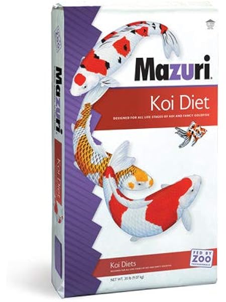 reptile heat lamp near me