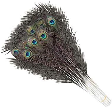 Trimming Shop Real Peacock Feather 27 inches
