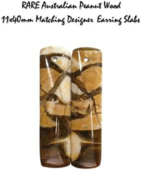 Genuine RARE Australian Petrified Peanut Wood 11x40mm Matching Designer Earring Slabs for Jewelry Making