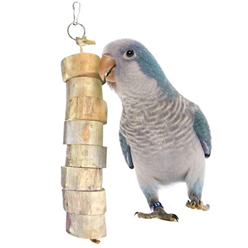 SunGrow Shreddable Bird Toy for Parakeet, Budgie and African Grey, Essential for Healthy Beaks, Entertains Conure, Relieves Stress in Cockatiels, Irresistible Texture, Avoid Boredom, Hang in Cage