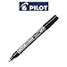 Pilot Metallic Super Color Silver Medium (2Mm Line Permanent Marker Paint Pens (1 Pen)
