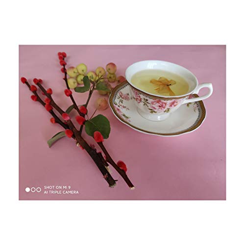 Tazza di porcellana, tazza da tè in porcellana inglese alla cenere d'Os, cofanetto con piattino, servizio da caffè… - immagine 7