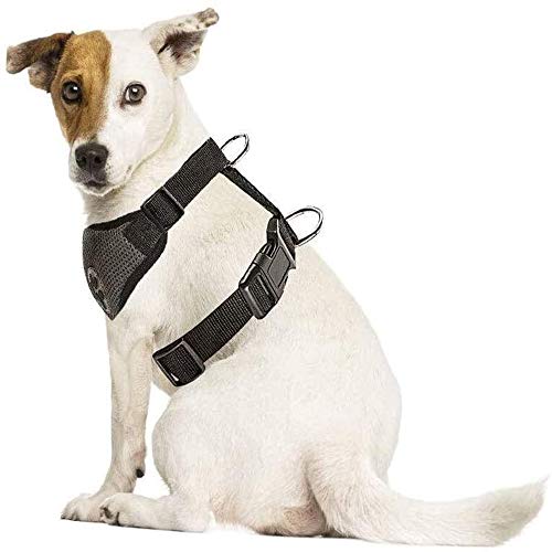 SlowTon Dog Car Vest Harness Multifunction Adjustable Double-Ring Breathable Mesh Fabric Harness for Cat Puppy Road Trip Daily Walks — image 1