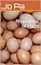 Livro Properties of Eggs