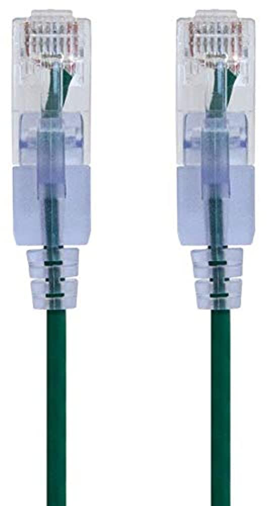 Monoprice 116315 Cat6A Ethernet Patch Cable - 1 Feet - Green (10 Pack) Snagless RJ45 550Mhz UTP Pure Bare Copper Wire 10G 30AWG - SlimRun Series