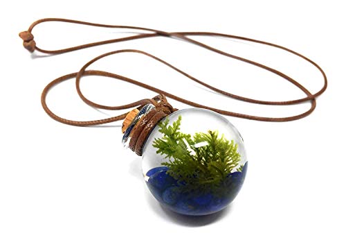 Living, miniature aquarium necklace - Terrarium Pendant | Live Plant Jewelry - Orbling Lapis Lazuli - Thumbnail 4