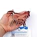 Horse Cookie Cutter – Sharp & Secure Stainless Steel Cooking Utensils – A Fun Fit for Sandwiches, Pancakes, Fruits & Crafts – Dishwasher-Safe Bakery Supplies by Sweet Cookie Crumbs (3.9” T x 5.6” W)