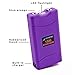 Monster Stun Gun Rechargeable Stun Gun with LED Flashlight, 18,000,000-Volt (Purple)