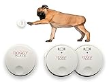 My Doggy Place - Dog Pet Children Toddler, Wireless Doorbell, No Batteries Required, Electronic Chime Bell, Potty Training, for Small, Medium, Large Dogs (Two Transmitters - One Receiver)
