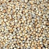 Ikshvaku Organic Pearl Millet | Bajra | Natural Indian Farm Products from Karnataka | ONE Pack