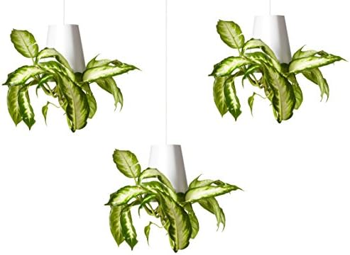 Sky Planter Recycled Medium White Set of 3