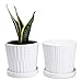 Greenaholics White Plant Pots - 6 Inch Ceramic Flower Planters Indoor with Drainage and Attached Saucers for Orchid or Herbs Small Modern Round Pot, Set of 2