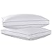 White Goose Feather Gusset Pillows, Double Stitching Rhombic Quilting Pattern, Double Thick Cotton Fabric Cover, King Size, 2 Pack