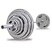 Body-Solid OST355 Grey Hand Grip Olympic Plates (355-Pounds)