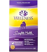 Wellness Complete Health Natural Dry Dog Food
