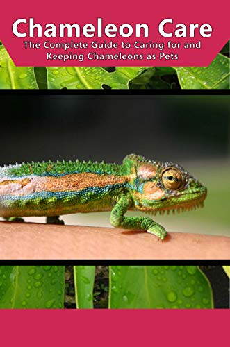 Chameleon Care The Complete Guide To Caring For And Keeping Chameleons As Pets - 