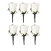 Set of 6 White Rose Boutonniere with Pin for Prom, Party, Wedding