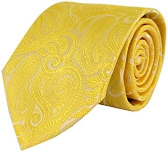 Men's Paisley 100% Microfiber Poly Woven Wedding Neck Tie