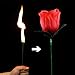 Yeahgoshopping The Torch to Rose Magic Trick – A Mesmerizing Illusion of Transformation - One Rose to Fire