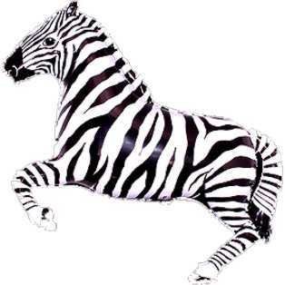 Toyland® 83cm (33") Black and White Zebra Shaped Foil Balloon