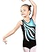 BAOHULU Gymnastics Leotards for Girls Shiny Jewels Kids Athletic Apperal Dancewear with Shorts