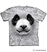 The Mountain Big Face Panda Adult T-Shirt, Grey, Small