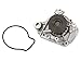 Evergreen TBK224WPT2 Compatible With Honda Del Sol SL 1.6L D16Y5 D16Y8 Timing Belt Kit Water Pump