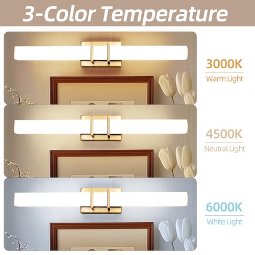TYhogar LED Wall Light for Interior, 62 cm, 12 W Modern Brass Wall Light, Light for Bathroom Mirror, Hallway, Stairs, Picture, Living Room, Bedroom, Kitchen
