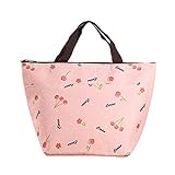 Lunch Bag Waterproof Picnic Tote Bag RALMALL Insulated Lunch Cooler Bag Lunch Holder Lunch Container Travel Zipper Organizer Box for Women Men Kids Girls Boys Adults (Type1)