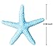 AHIER Light Blue Starfish Decor, Starfish Ornaments, 30 Pieces Small Finger Resin Starfish for Crafts and Wedding Home Decor