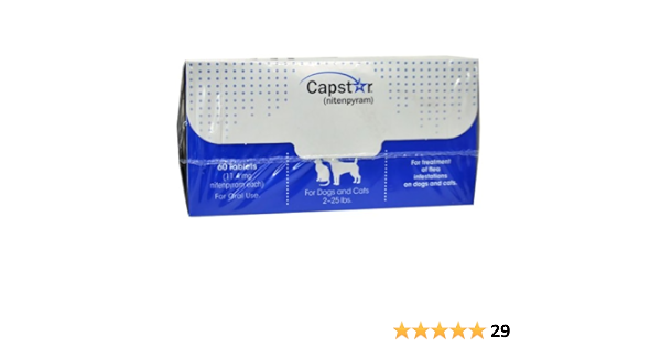 amazon capstar for dogs
