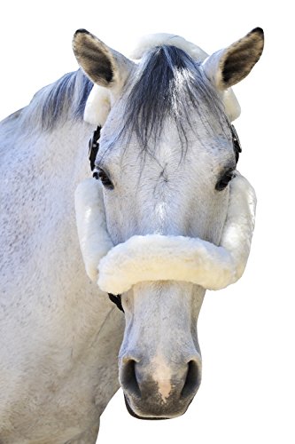 image for ECP Equine Comfort Products ECP Merino Sheepskin Halter Fleece Set for